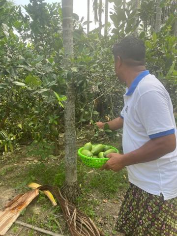 A man holding produce from his garden.