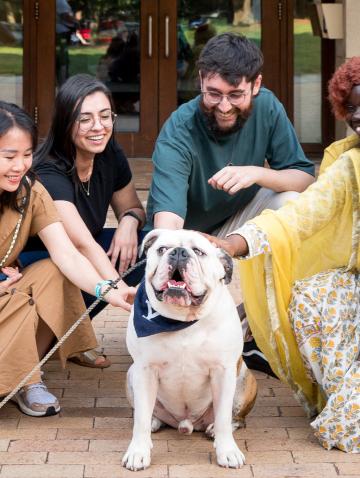 Five Teaching Assistants from different countries pet Handsome Dan outside Luce Hall